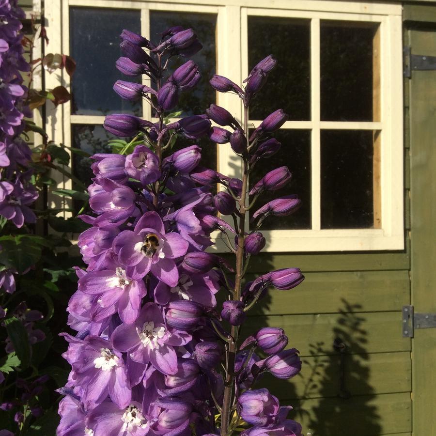 Pomona Bed and Breakfast Lowick Green Εξωτερικό φωτογραφία